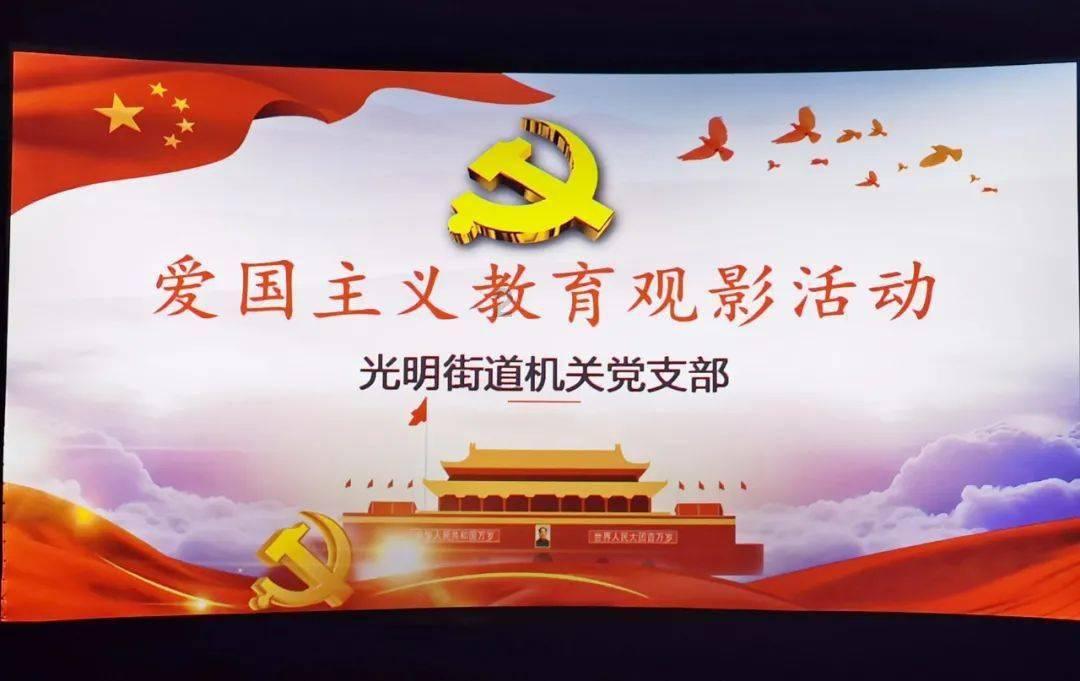 探寻公猫打架败了会不回来吗的乐趣